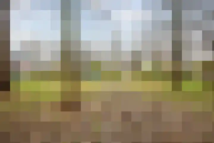 Aert de Gelderlaan 300 Alkmaar thumbnail 40