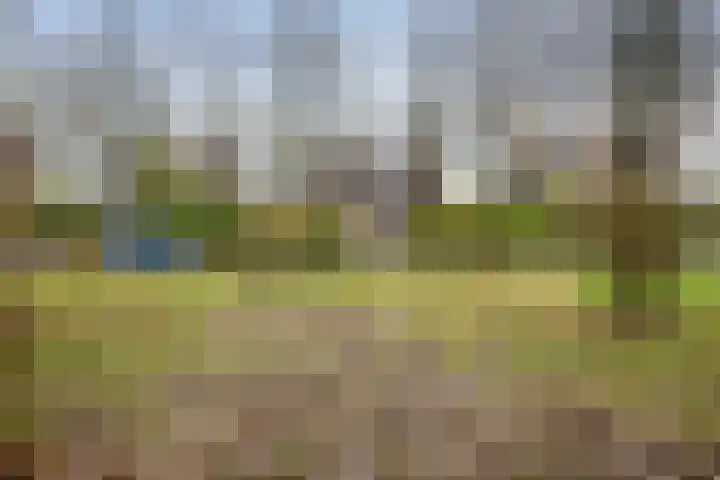Aert de Gelderlaan 300 Alkmaar thumbnail 6