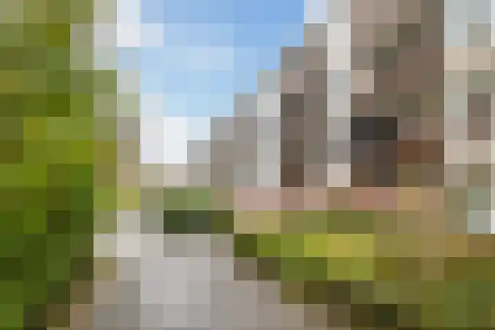 Aert de Gelderlaan 300 Alkmaar thumbnail 7