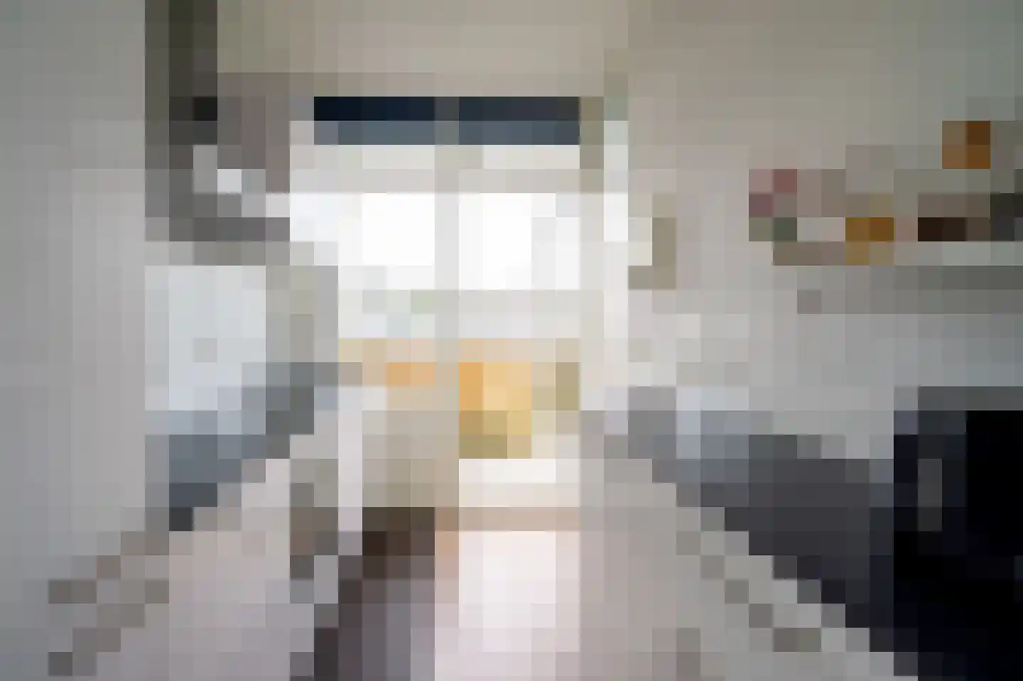 Aert de Gelderlaan 314 Alkmaar thumbnail 10