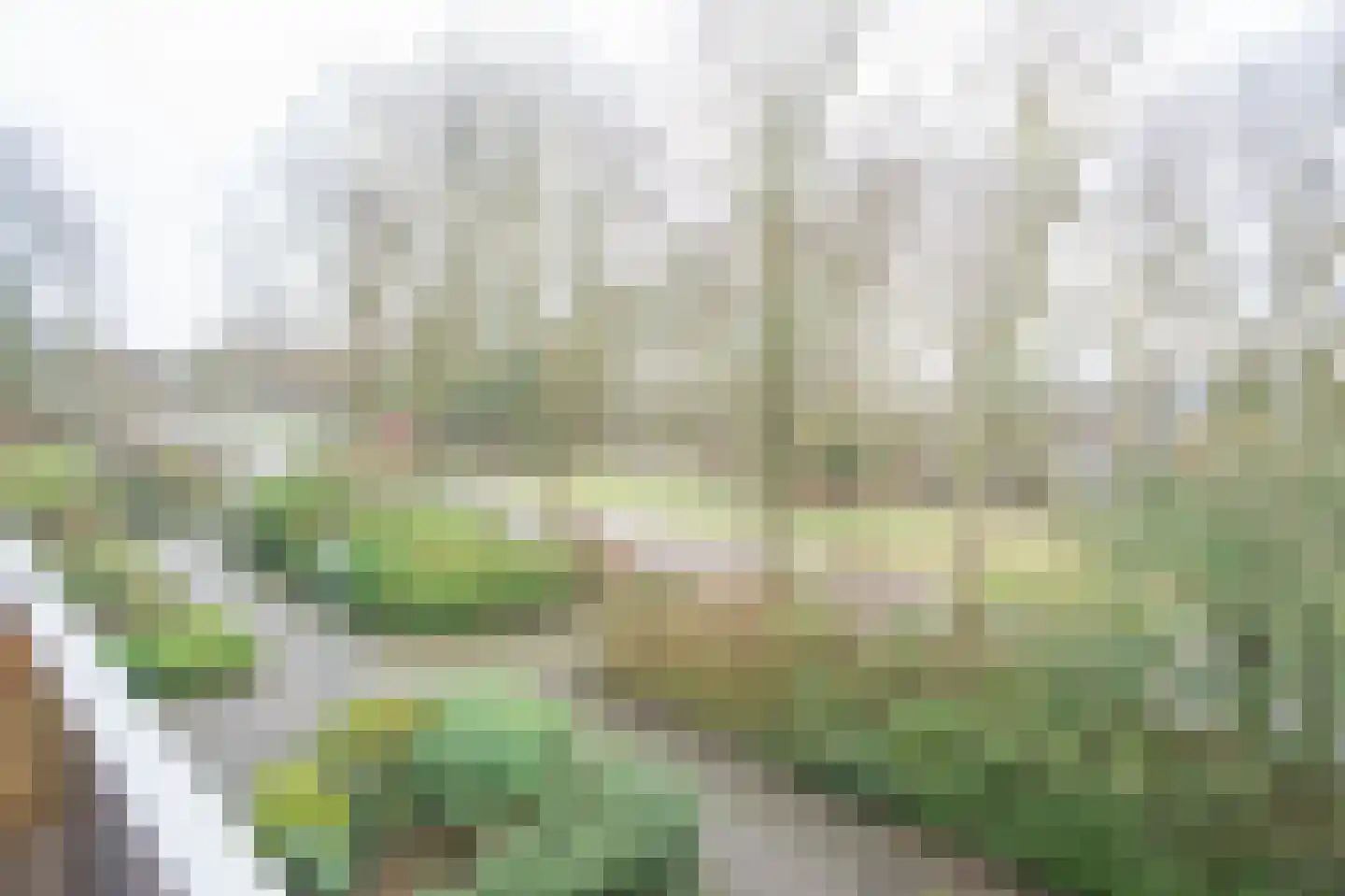 Aert de Gelderlaan 314 Alkmaar thumbnail 20