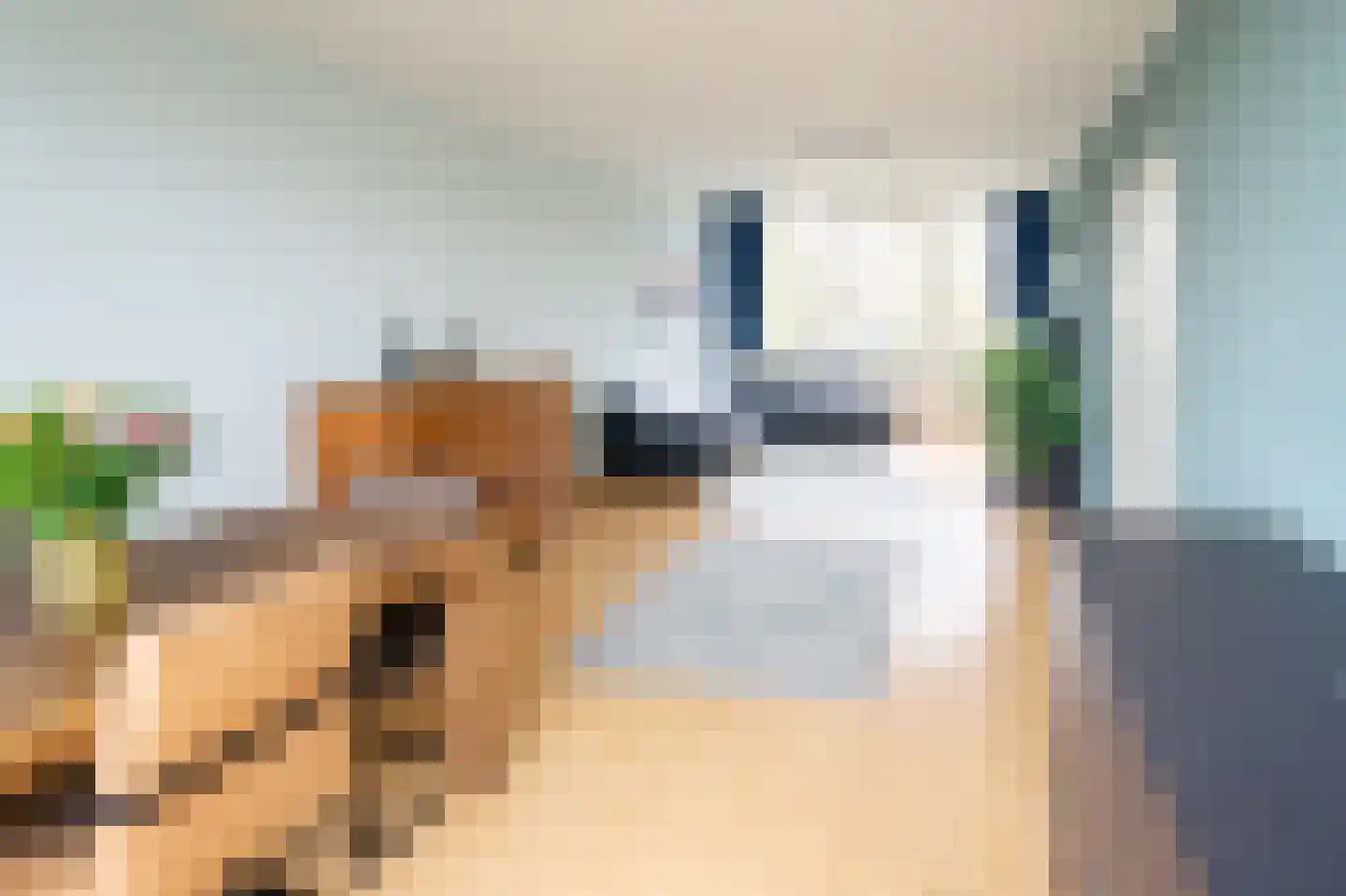 Aert de Gelderlaan 314 Alkmaar thumbnail 5