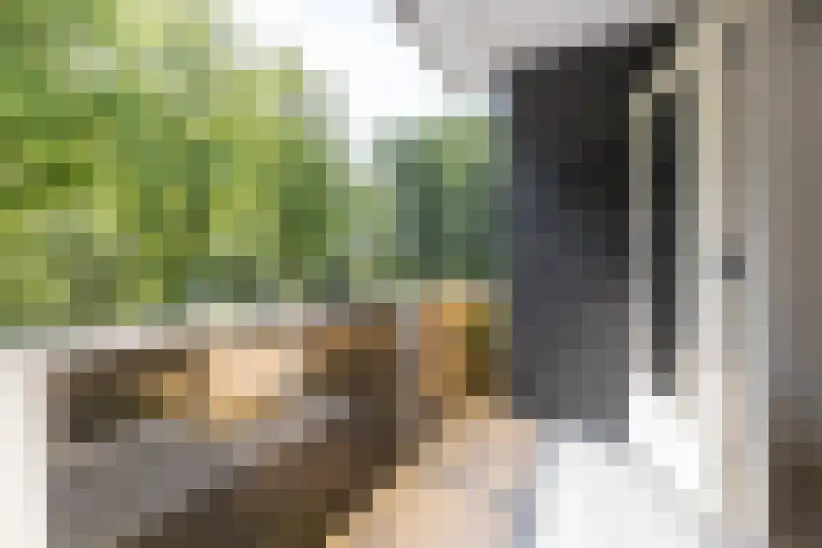 Aert de Gelderlaan 328 Alkmaar thumbnail 22