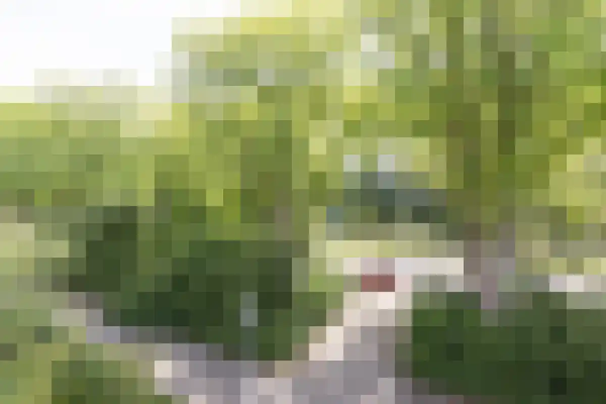 Aert de Gelderlaan 328 Alkmaar thumbnail 23