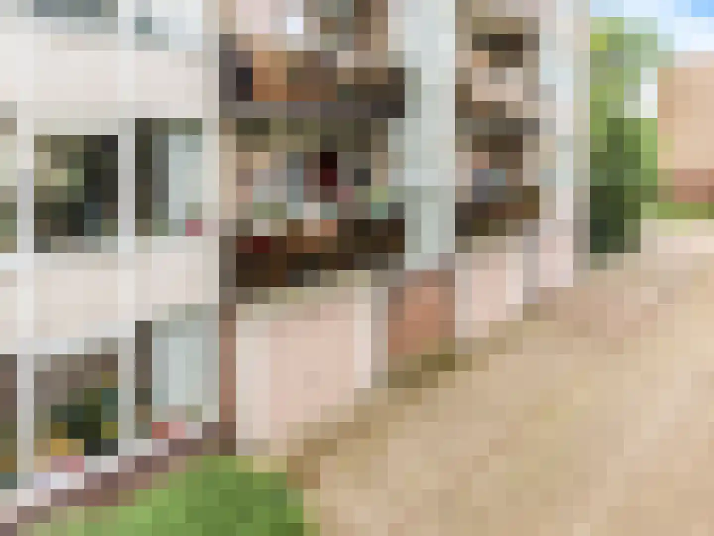 Aert de Gelderlaan 52 Alkmaar thumbnail 44