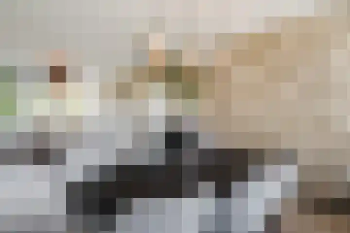 Aert de Gelderlaan 60 Alkmaar thumbnail 14