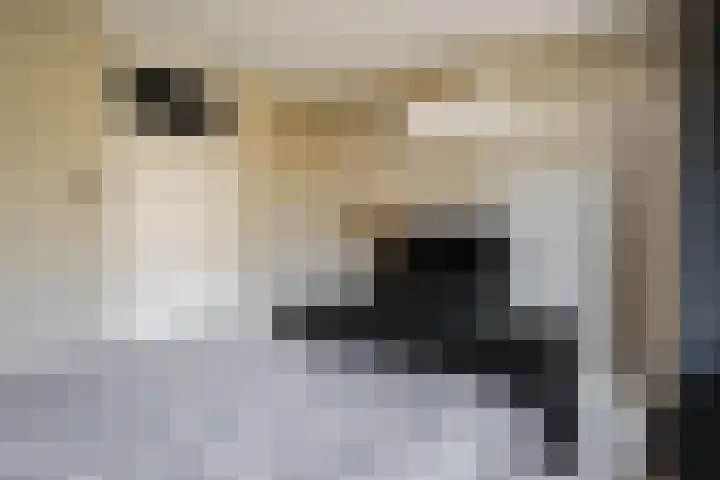 Aert de Gelderlaan 60 Alkmaar thumbnail 22