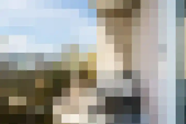 Aert de Gelderlaan 60 Alkmaar thumbnail 30