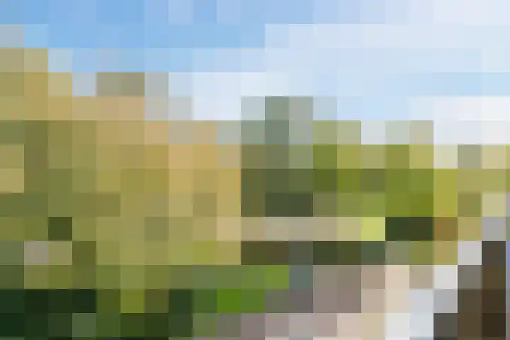 Aert de Gelderlaan 60 Alkmaar thumbnail 31