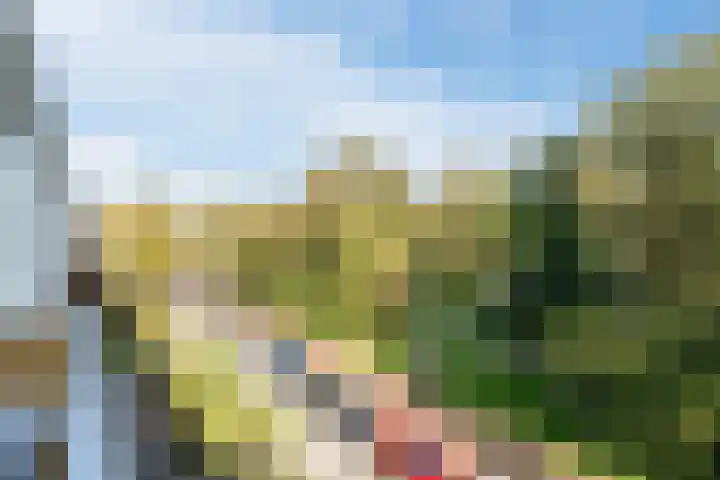 Aert de Gelderlaan 60 Alkmaar thumbnail 32