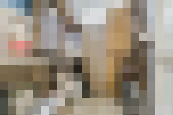 Aert de Gelderlaan 60 Alkmaar thumbnail 36