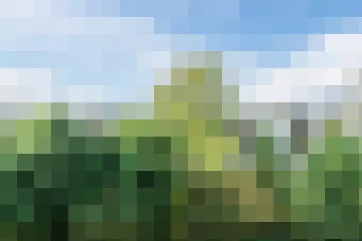 Aert de Gelderlaan 60 Alkmaar thumbnail 37