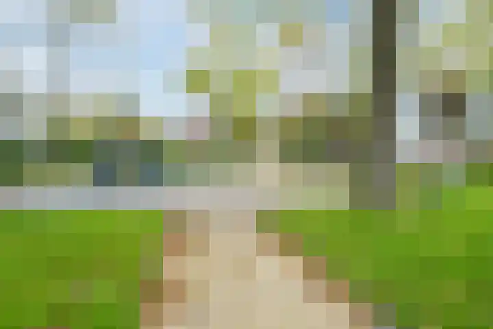 Aert de Gelderlaan 60 Alkmaar thumbnail 40