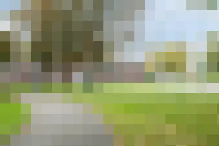 Aert de Gelderlaan 60 Alkmaar thumbnail 41
