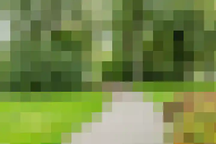 Aert de Gelderlaan 60 Alkmaar thumbnail 43
