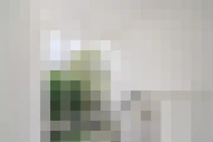 Aert de Gelderlaan 60 Alkmaar thumbnail 6