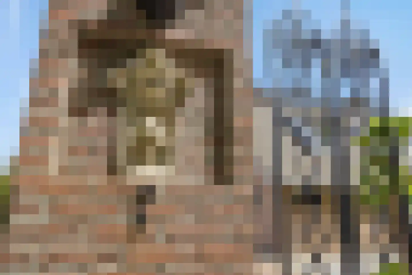 Aert Heymlaan 7 A Vught thumbnail 6