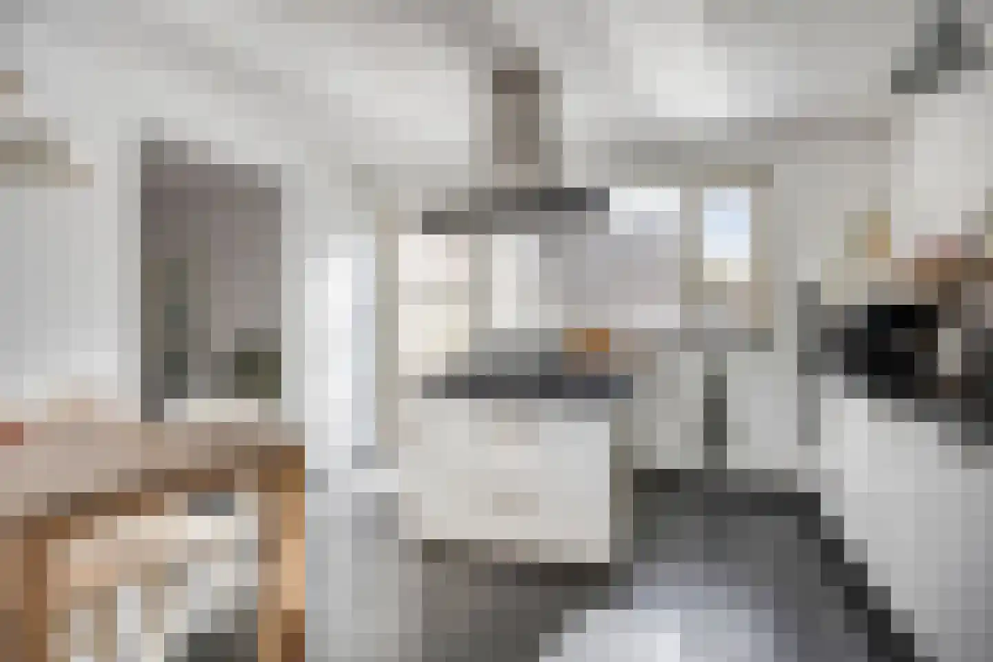 Aert Swaensstraat 11 Goirle thumbnail 16