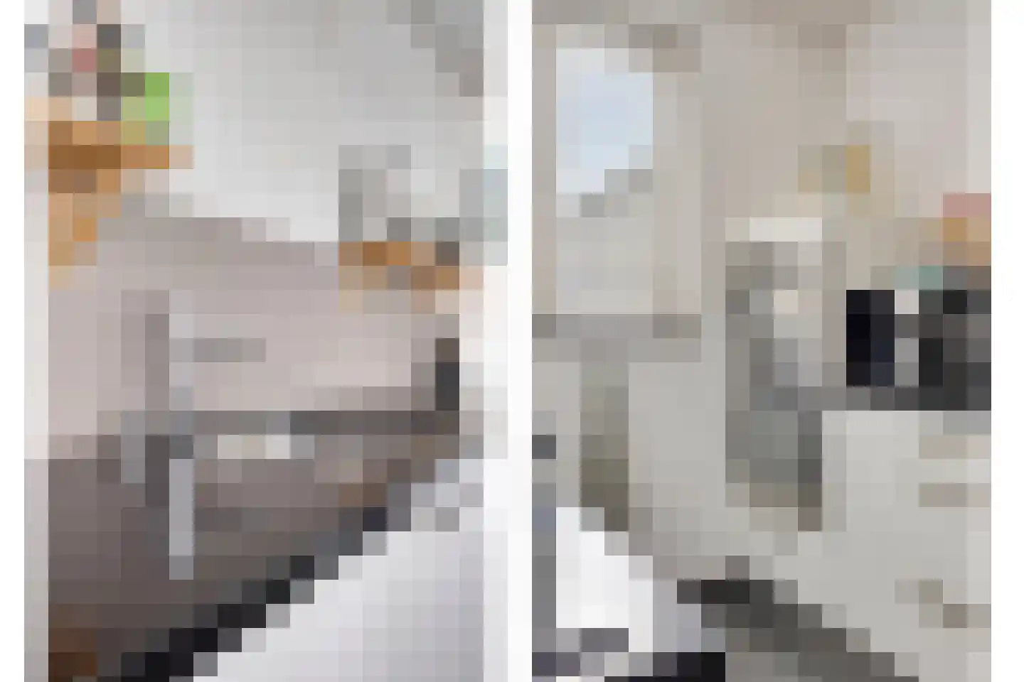 Aert Swaensstraat 11 Goirle thumbnail 17