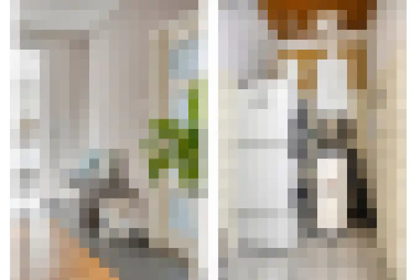 Aert Swaensstraat 11 Goirle thumbnail 21