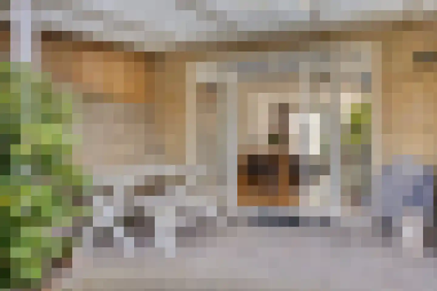 Aert Swaensstraat 11 Goirle thumbnail 44