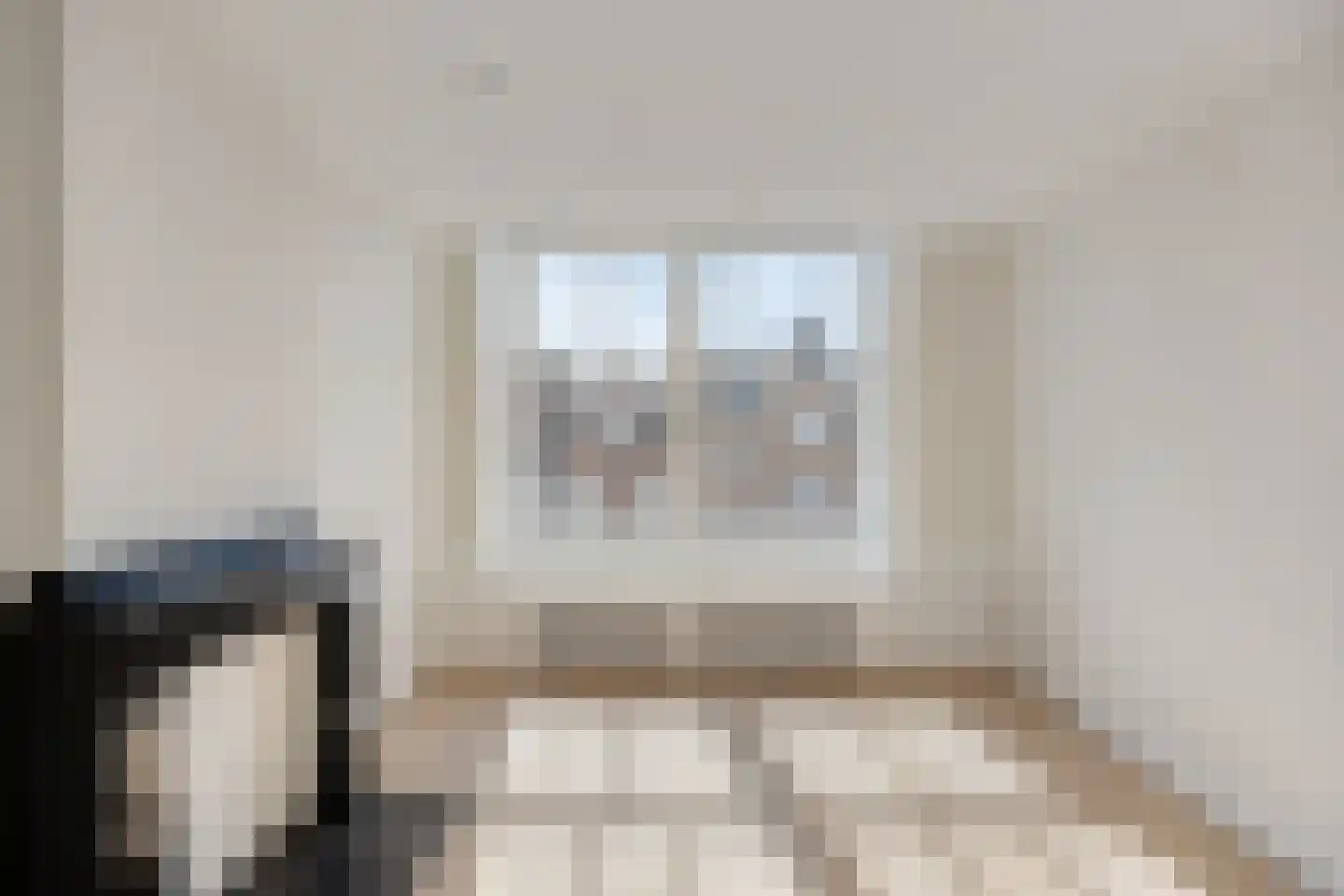 Aert van der Goesstraat 22 A Den Haag thumbnail 34