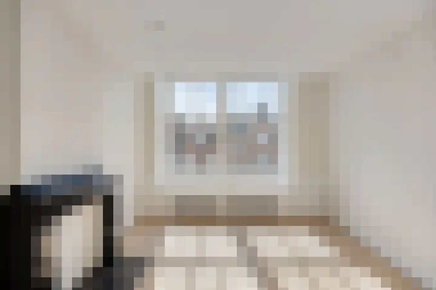 Aert van der Goesstraat 22 A Den Haag thumbnail 36