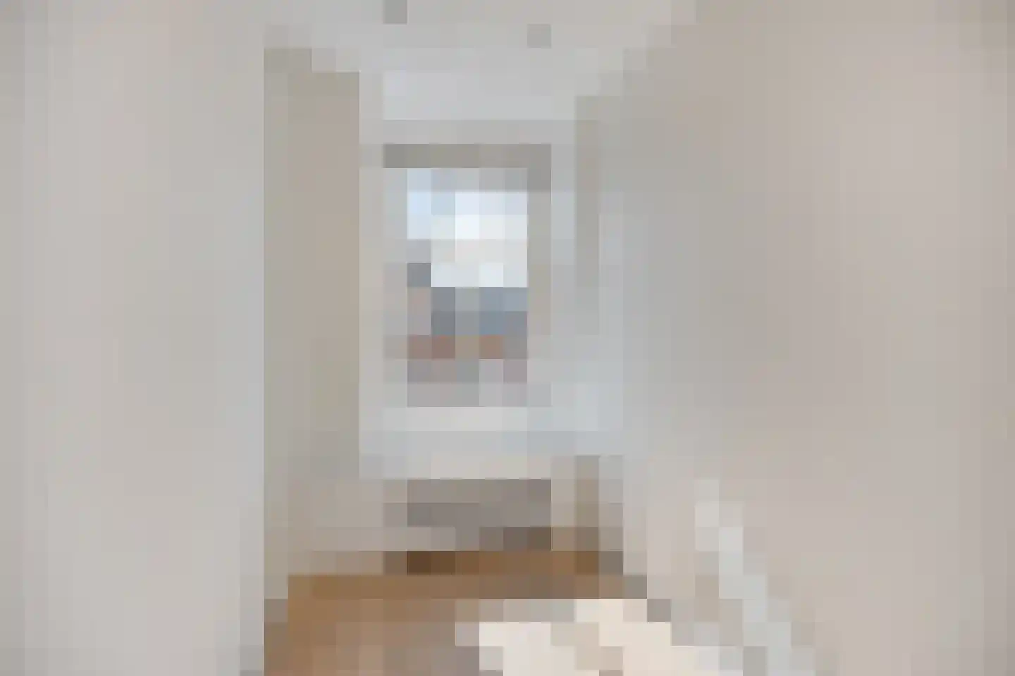 Aert van der Goesstraat 22 A Den Haag thumbnail 36