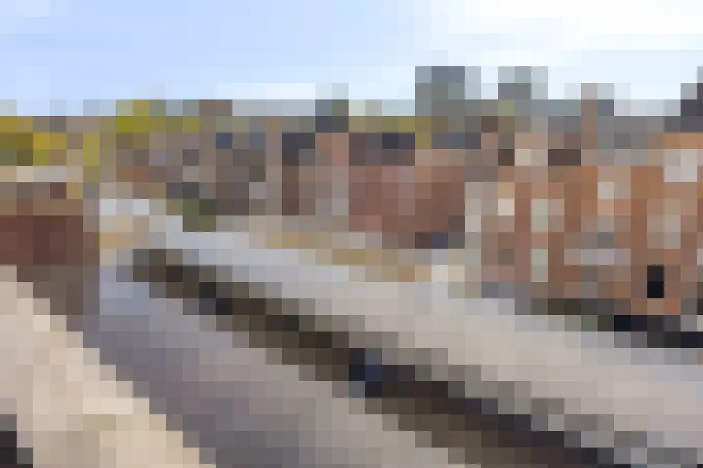 Aert van der Goesstraat 22 A Den Haag thumbnail 44