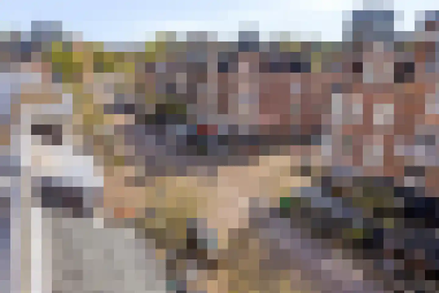 Aert van der Goesstraat 22 A Den Haag thumbnail 47