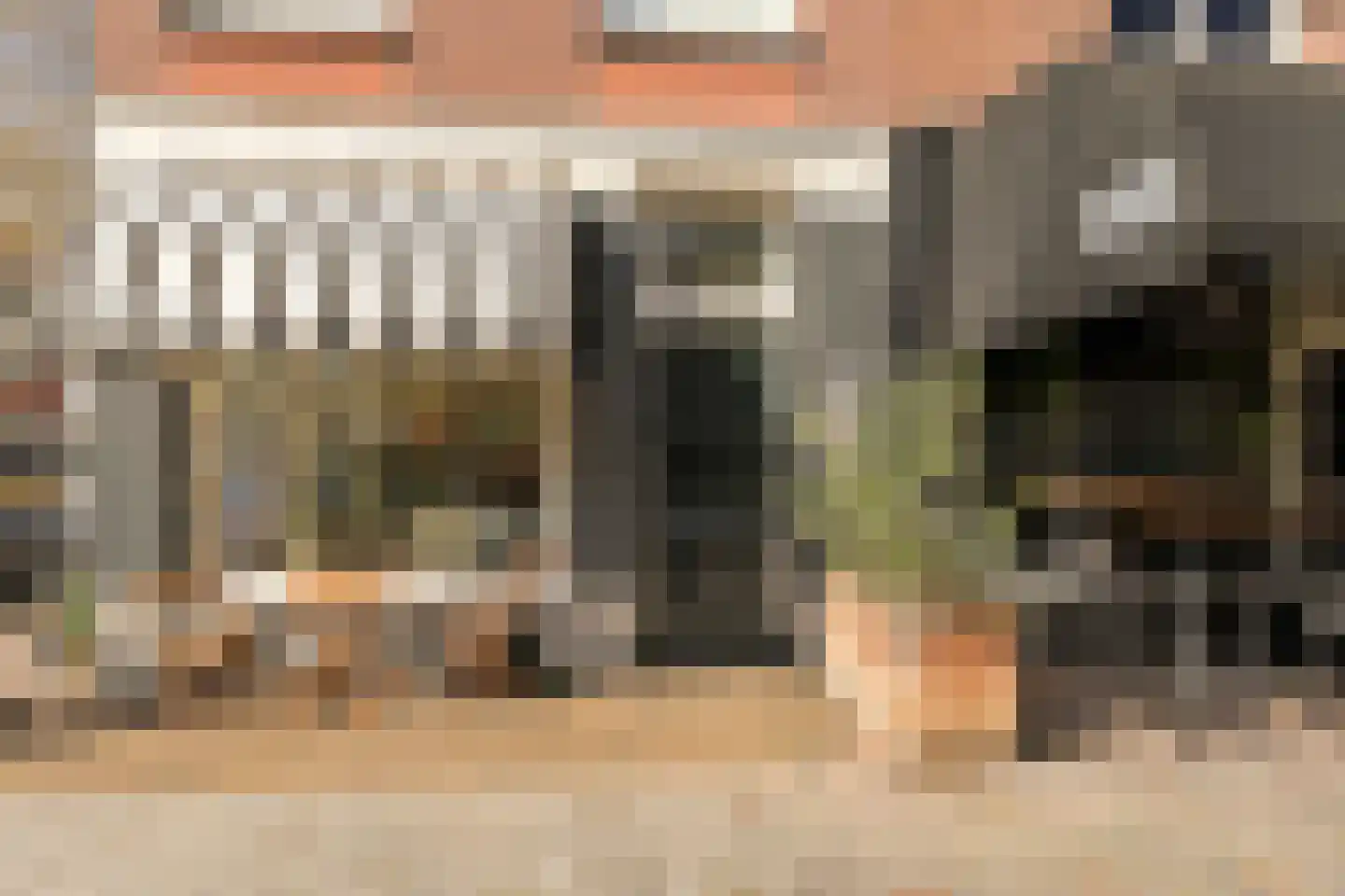 Aert van der Goesstraat 25 A Den Haag thumbnail 32
