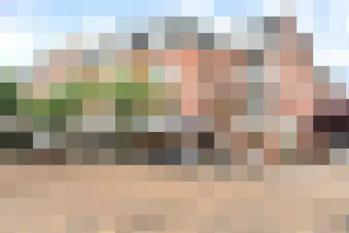 Aert van der Goesstraat 28 Den Haag thumbnail 22
