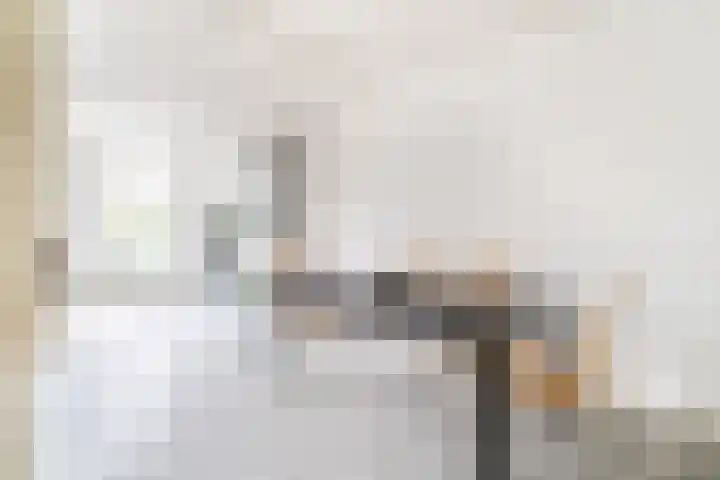 Aert van der Goesstraat 28 Den Haag thumbnail 4