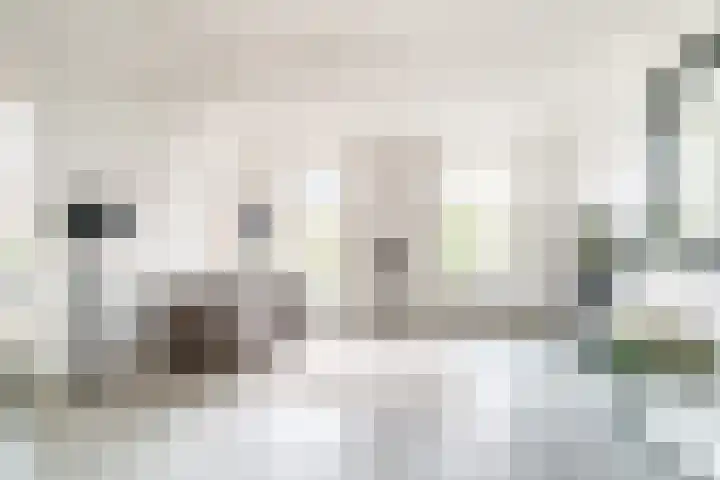 Aert van der Goesstraat 28 Den Haag thumbnail 5