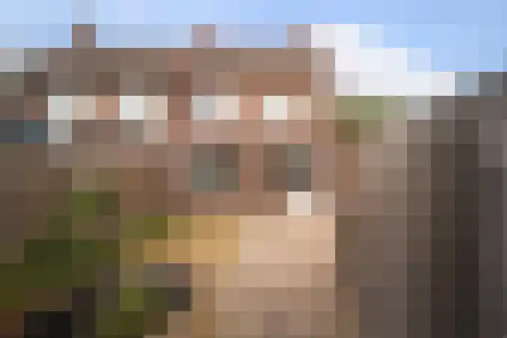 Aert van der Neerstraat 1 A Eindhoven thumbnail 15