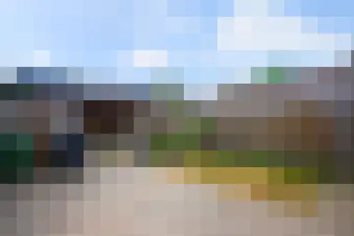 Aert van der Neerstraat 1 Eindhoven thumbnail 15