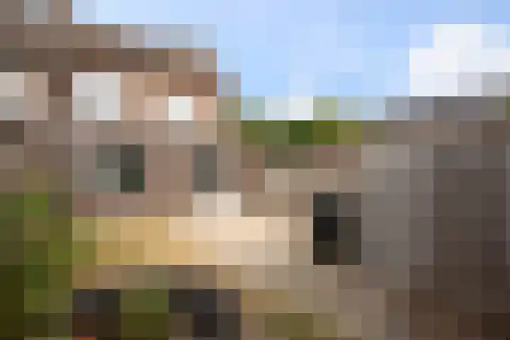 Aert van der Neerstraat 1 Eindhoven thumbnail 18
