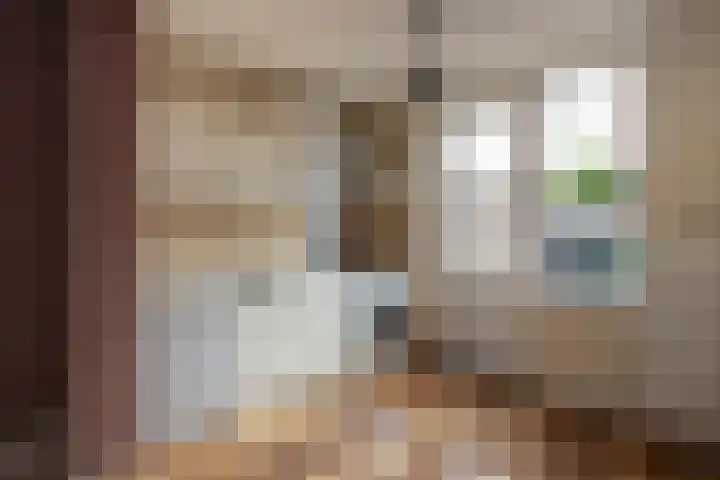 Aert van der Neerstraat 1 Eindhoven thumbnail 9