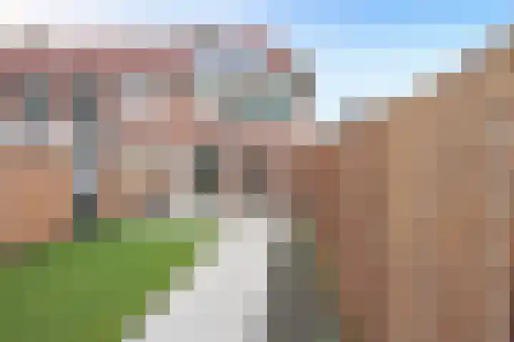 Aert van der Neerstraat 1 Leeuwarden thumbnail 10