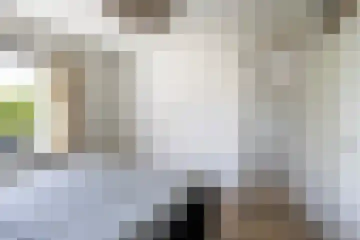 Aert van der Neerstraat 29 Leeuwarden thumbnail 33
