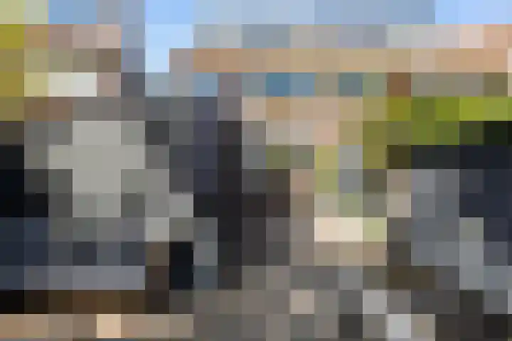 Aert van der Neerstraat 29 Leeuwarden thumbnail 5