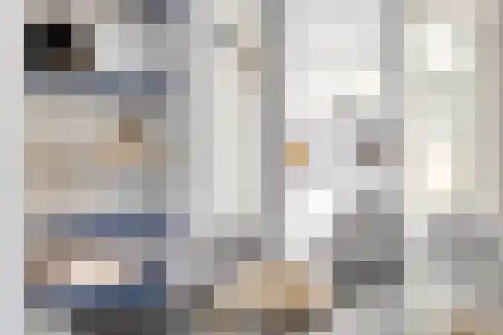 Aert van der Neerstraat 4 Eindhoven thumbnail 10