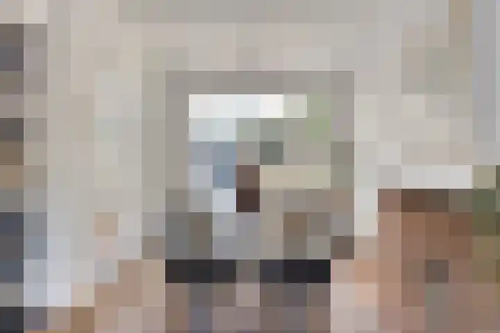 Aert van der Neerstraat 4 Eindhoven thumbnail 11