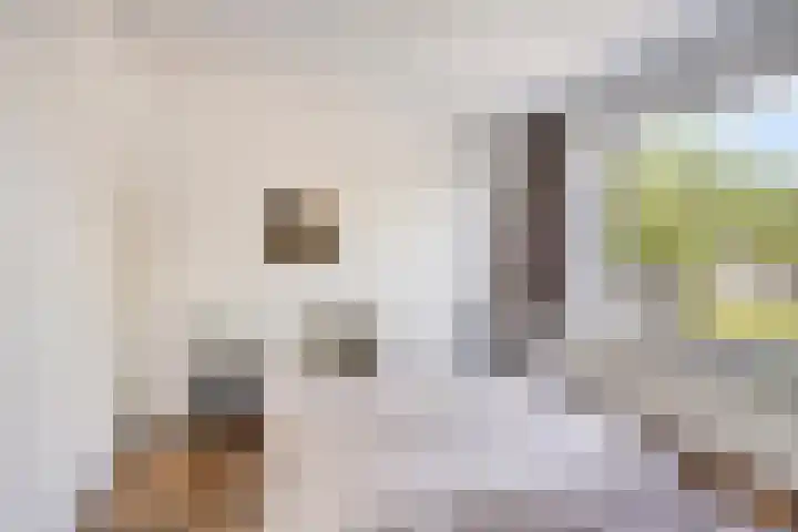 Aert van der Neerstraat 4 Eindhoven thumbnail 17