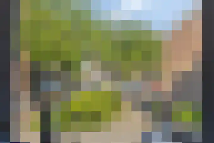Aert van der Neerstraat 4 Eindhoven thumbnail 19