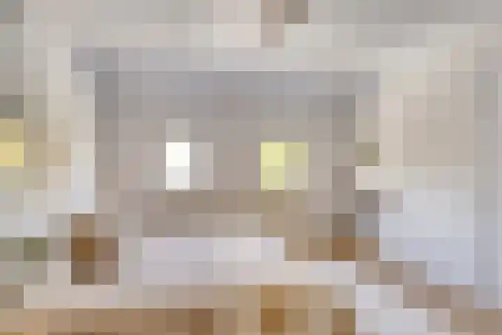 Aert van der Neerstraat 4 Eindhoven thumbnail 22