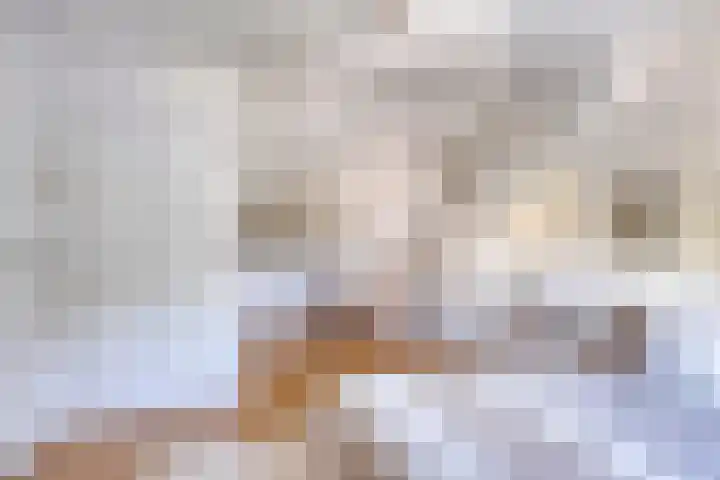 Aert van der Neerstraat 4 Eindhoven thumbnail 23