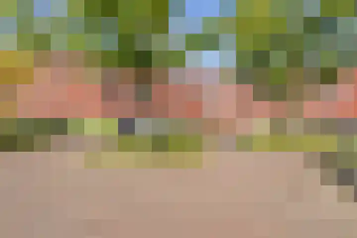 Aert van der Neerstraat 4 Eindhoven thumbnail 27
