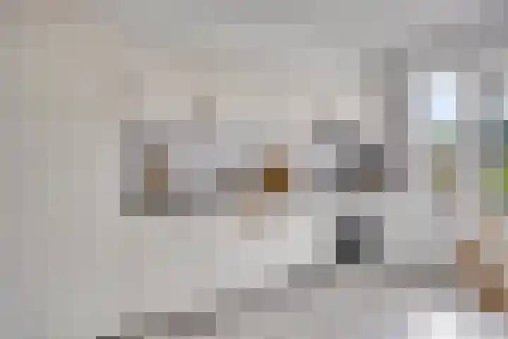 Aert van der Neerstraat 4 Eindhoven thumbnail 8