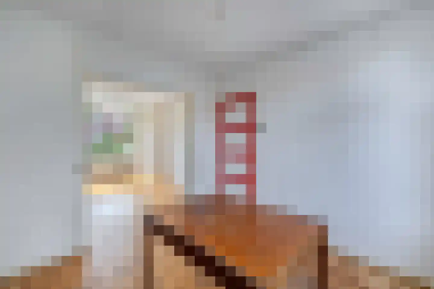 Aert van der Neerstraat 42 Leeuwarden thumbnail 17